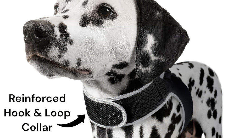 Small Portable Security Monitor Realtime Mini Waterproof Pet Tracker Size:XL