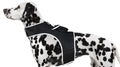 Small Portable Security Monitor Realtime Mini Waterproof Pet Tracker Size:XL
