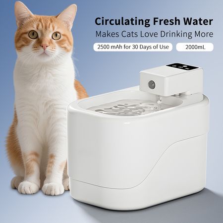 Small sugar pet water dispenser, multi-layer filtration to maintain water quality, large capacity water storage, beautiful and practical for home placement