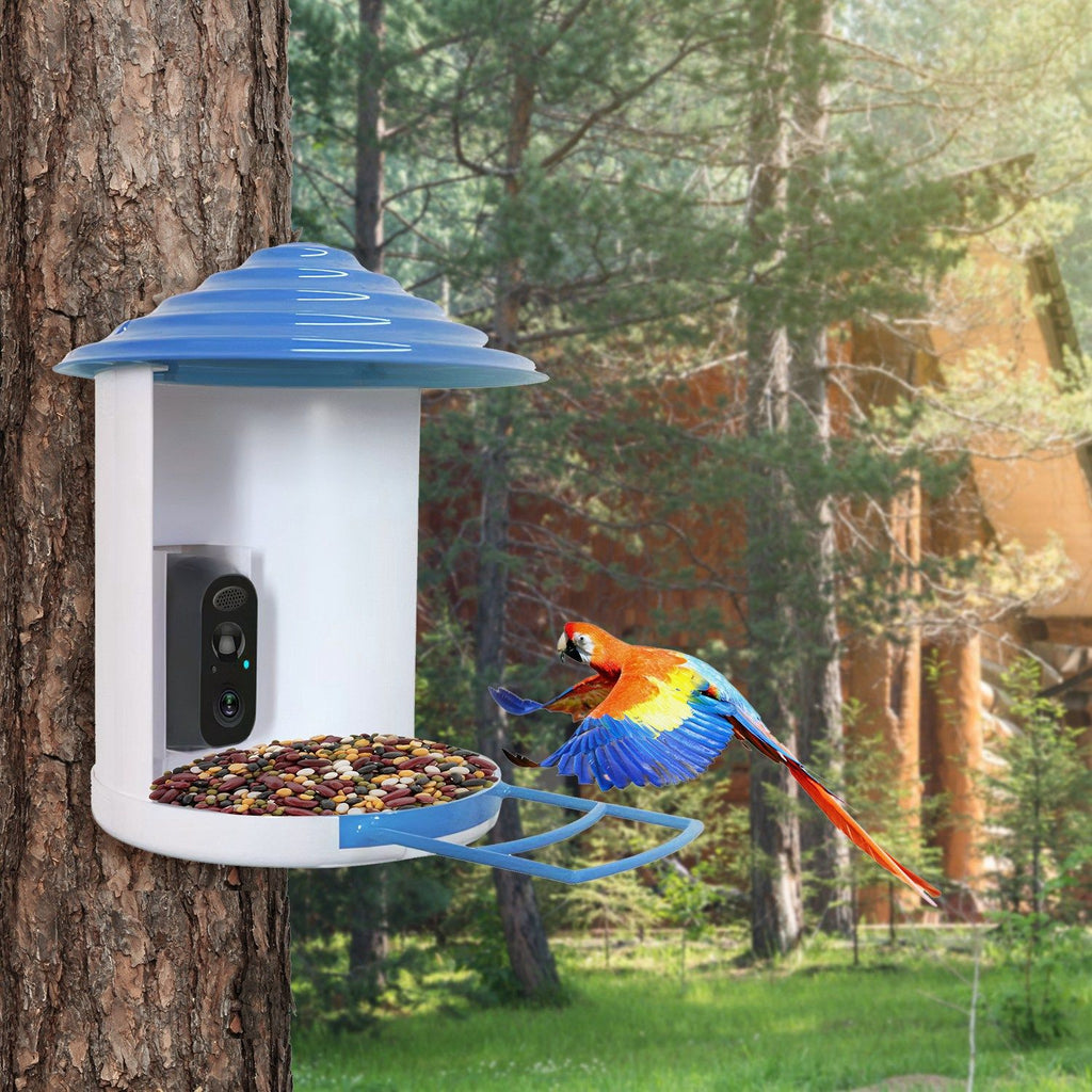 Smart Bird Feeder Camera with Night Vision & Motion Alerts