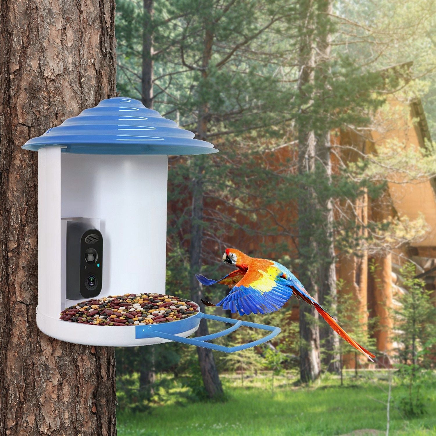 Smart Bird Feeder Camera with Night Vision & Motion Alerts
