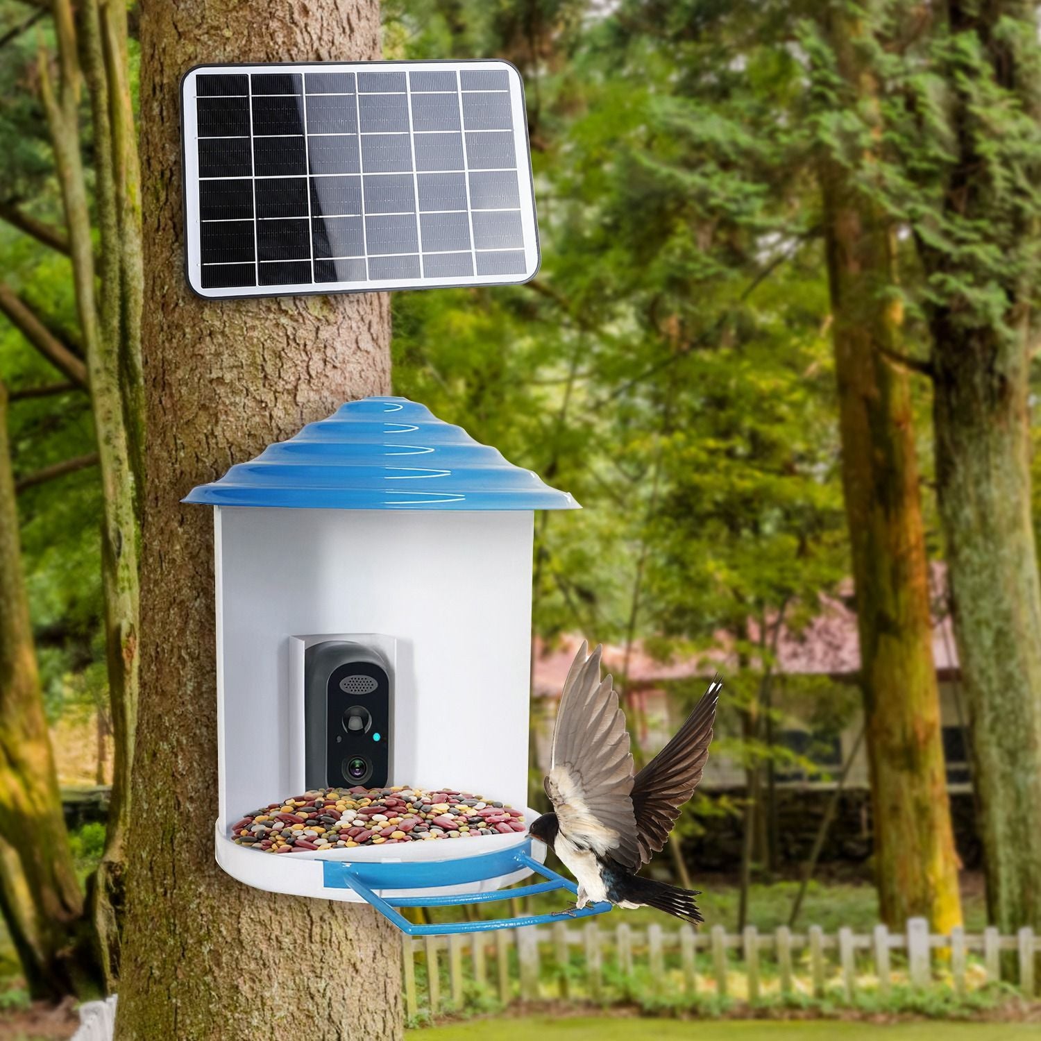 Smart Bird Feeder Camera with Night Vision & Motion Alerts