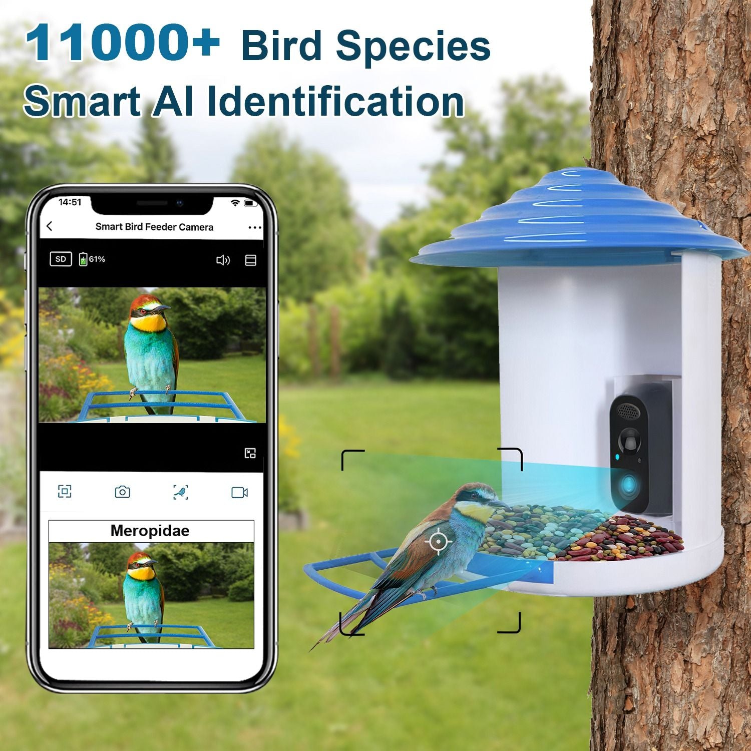 Smart Bird Feeder Camera with Night Vision & Motion Alerts