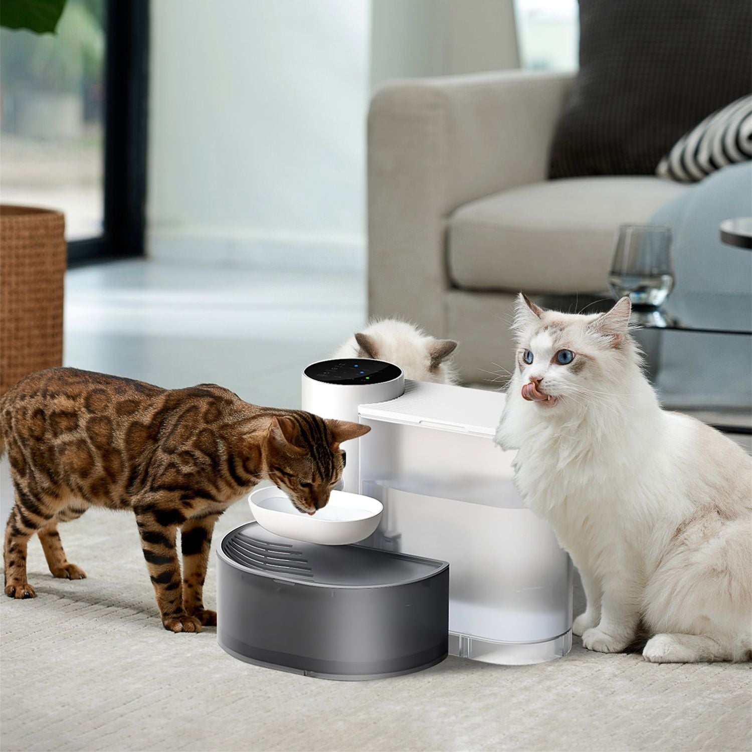 Self-Refilling Pet Water Fountain with Touch Timer Controls