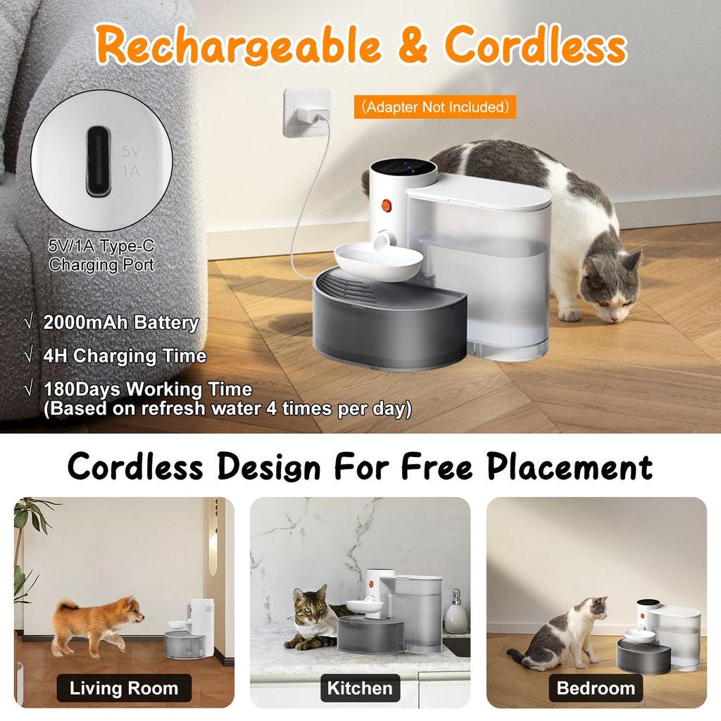 Self-Refilling Pet Water Fountain with Touch Timer Controls