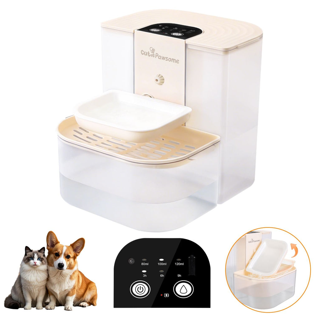 Smart Pet Water Fountain with Dual-Tank Filtration and Automated Refill