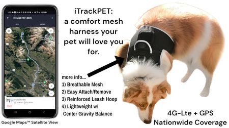 SMS Tracking Report GPS Realtime Pet Waterproof Portable Mini Tracker Size:XL