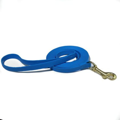 water-ready PVC Dog Leash with High-Visibility Colors and Secure structured Clasp