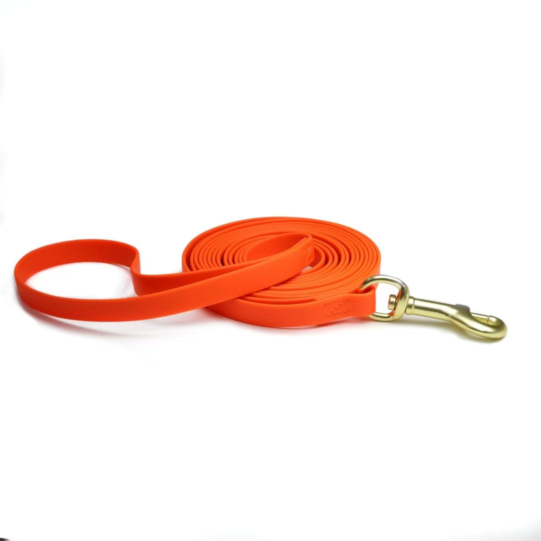 water-ready PVC Dog Leash with High-Visibility Colors and Secure structured Clasp