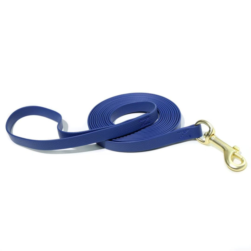 water-ready PVC Dog Leash with High-Visibility Colors and Secure structured Clasp
