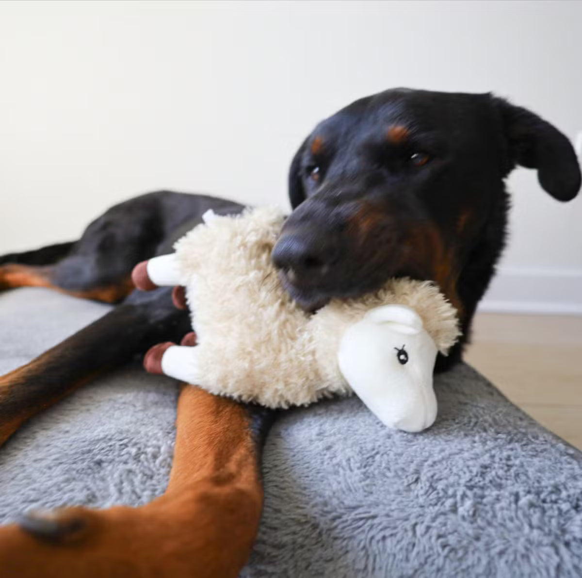 Llama Dog Toy with a Hidden Inner Toy, Crinkles, and Squeaks