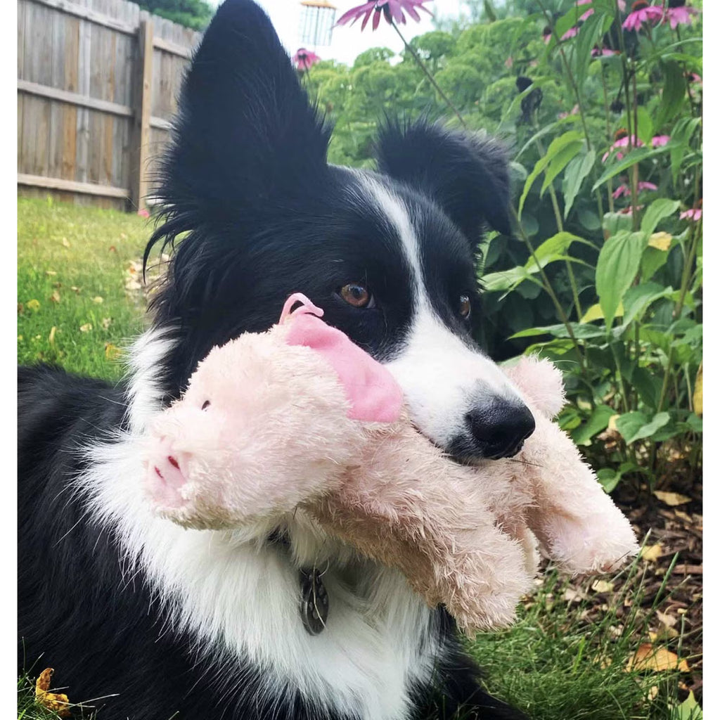 Barnyard Baller Pig Crinkle Plush Dog Toy