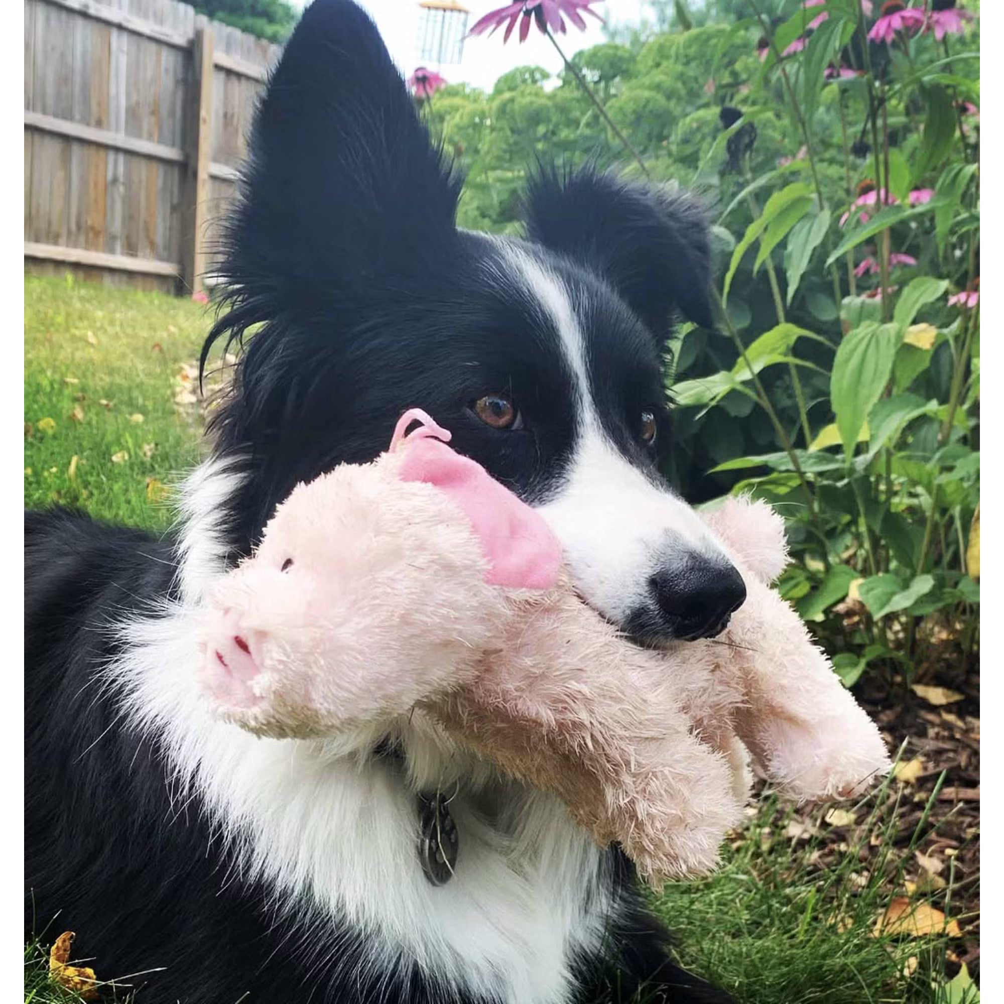 Barnyard Baller Pig Crinkle Plush Dog Toy