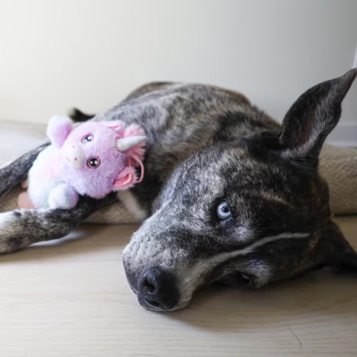Adorable Big-Eyed Unicorn Crinkle Plush Dog Toy with Hidden Tennis Ball