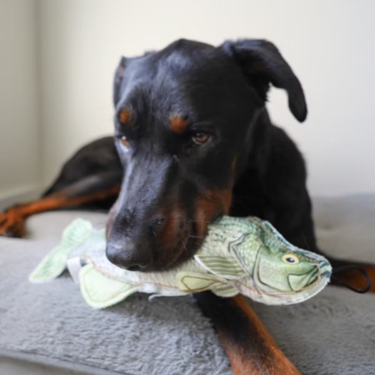 Denim Bass Dog Toy: Realistic Print, Tough Denim & Sounds