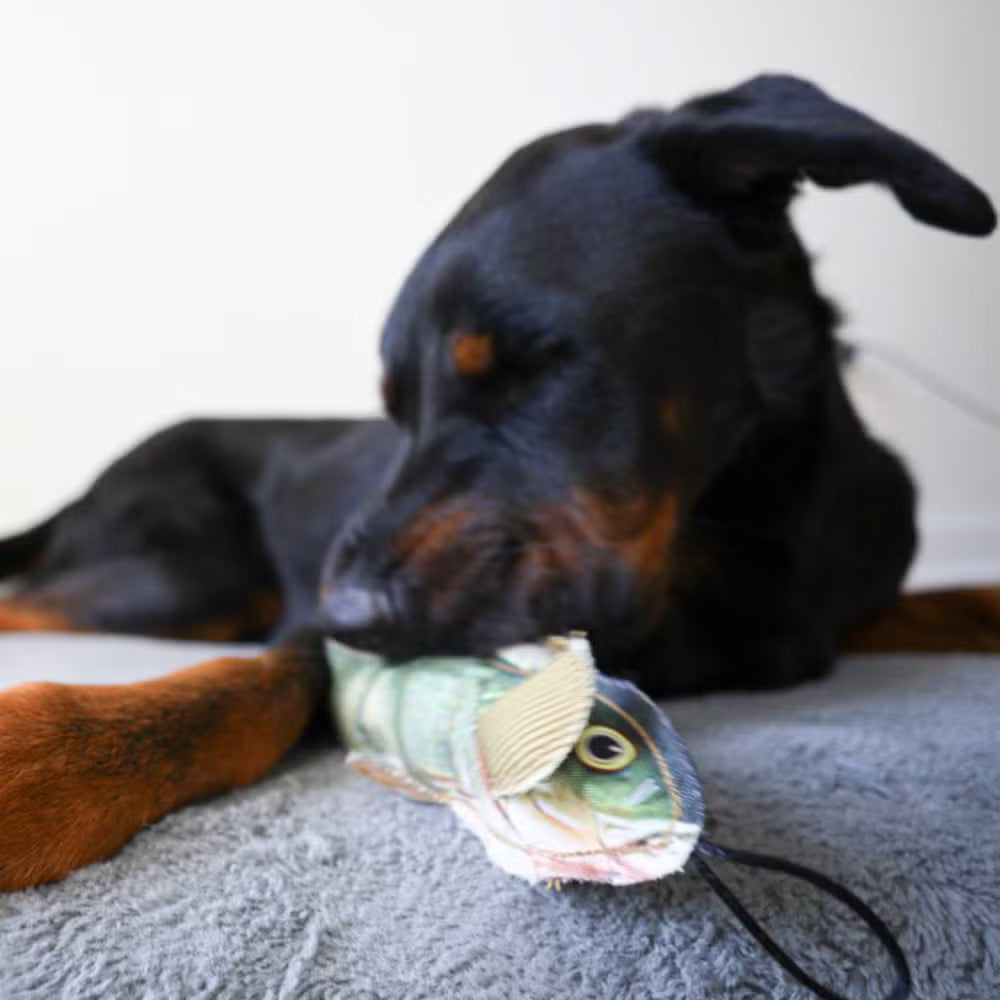 Crinkling Squeaky Dog Toy With a Hidden Toy Inside