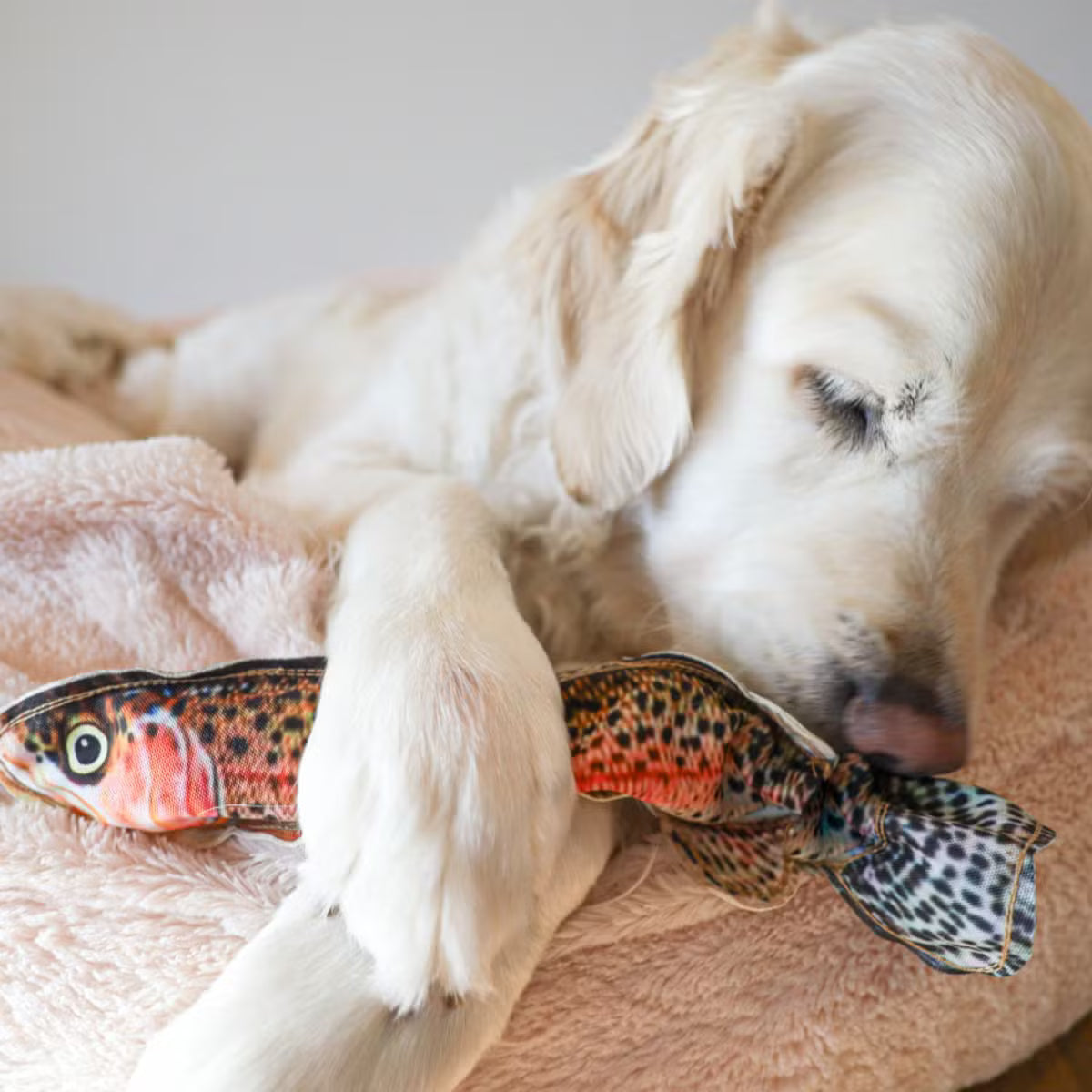 Realistic Denim Rainbow Trout Crinkle Toy for Dogs