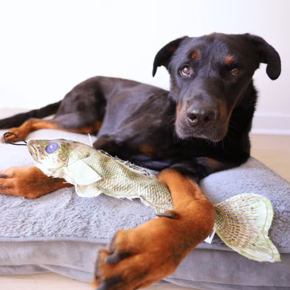 Realistic Denim Walleye Toy with Crinkle and Squeak