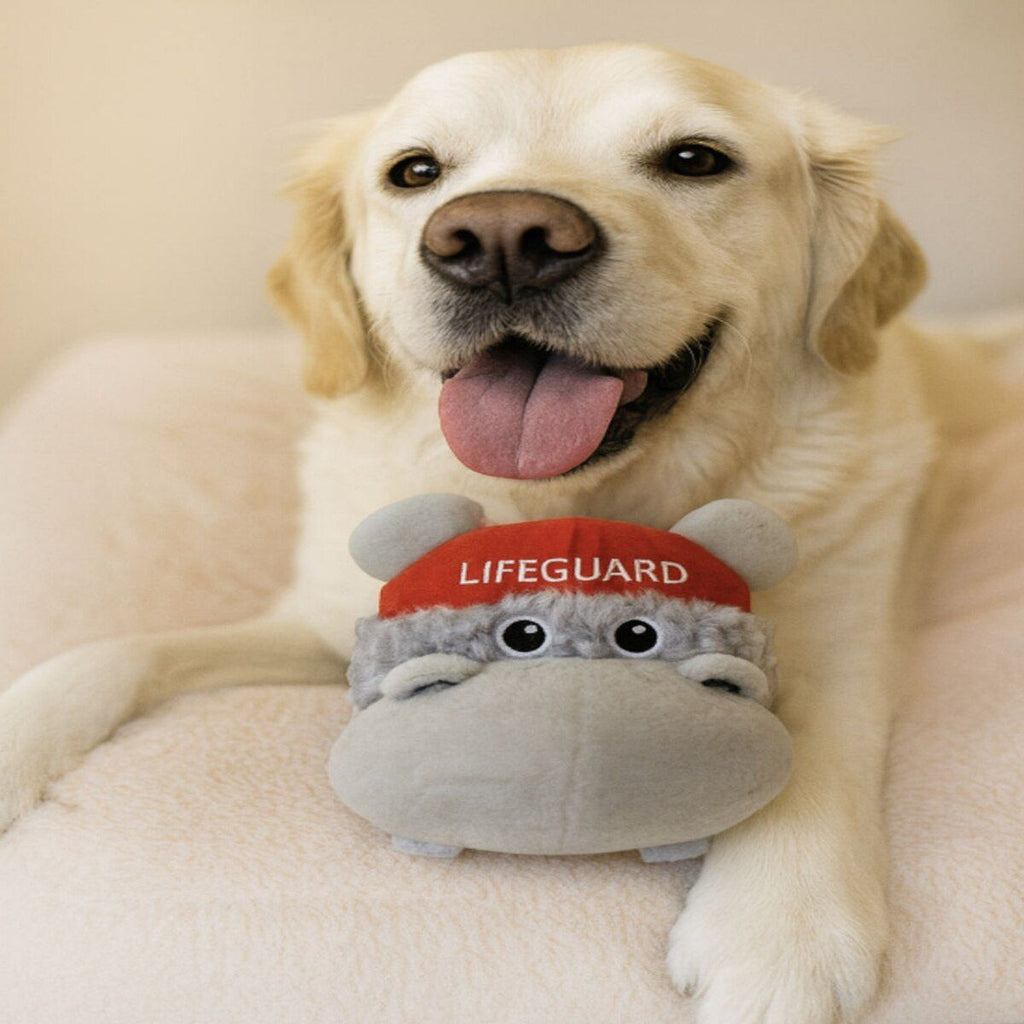 Hero Lifeguard Tough Squeaky Plush Dog Toy with Crinkle & Toy-in-Toy
