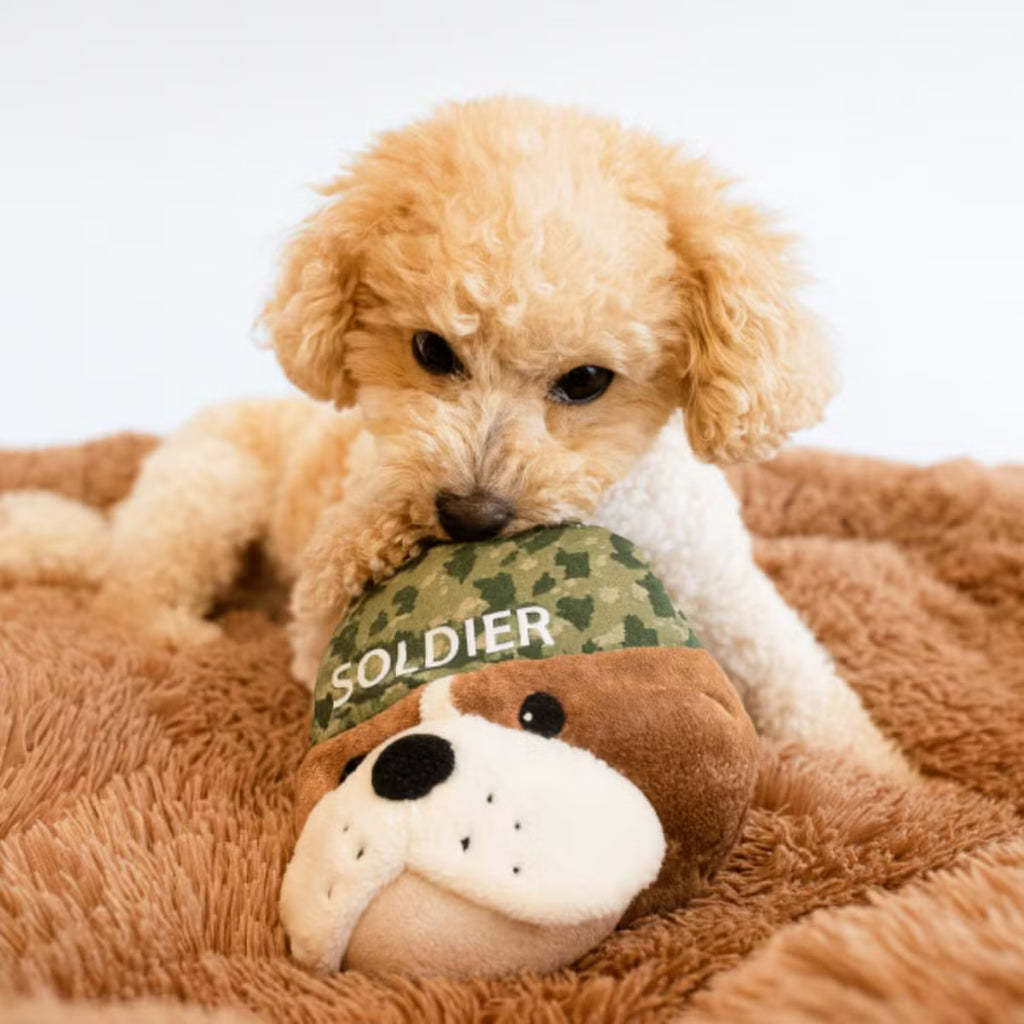 Dog Toy with an Inner Toy, Crinkle, and Squeaker