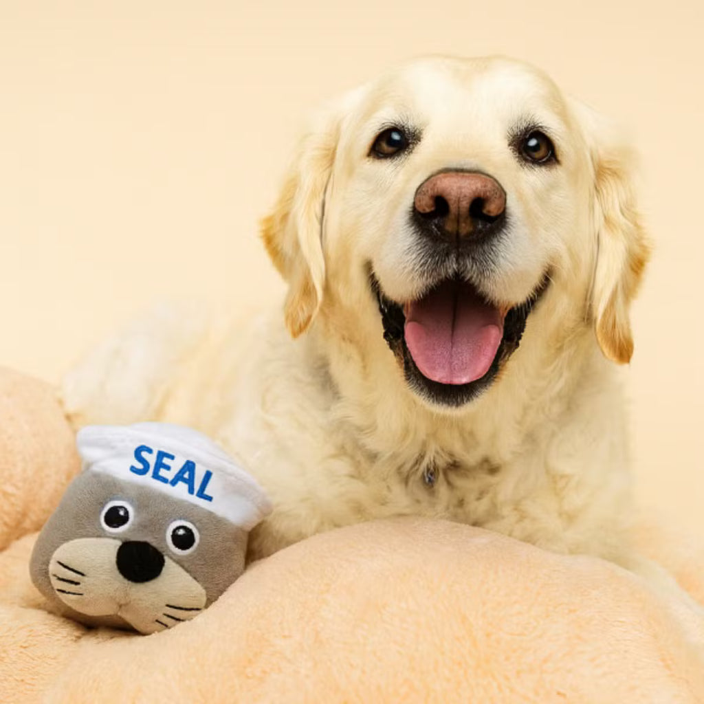 Dog Toy with Toy Inside, Crinkles, and Squeaks