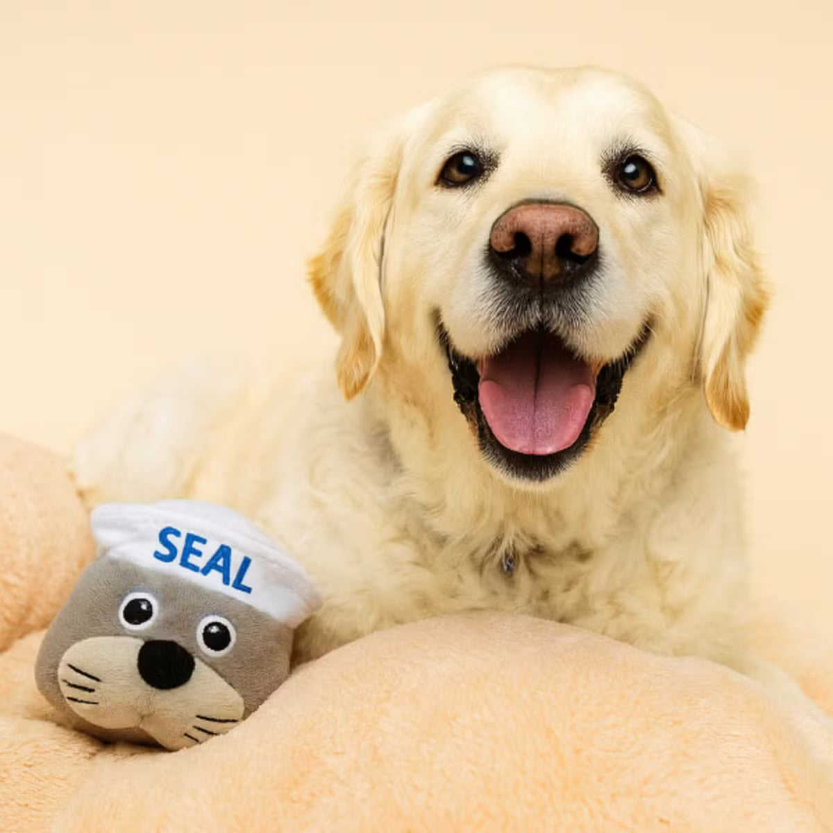 Dog Toy with Toy Inside, Crinkles, and Squeaks