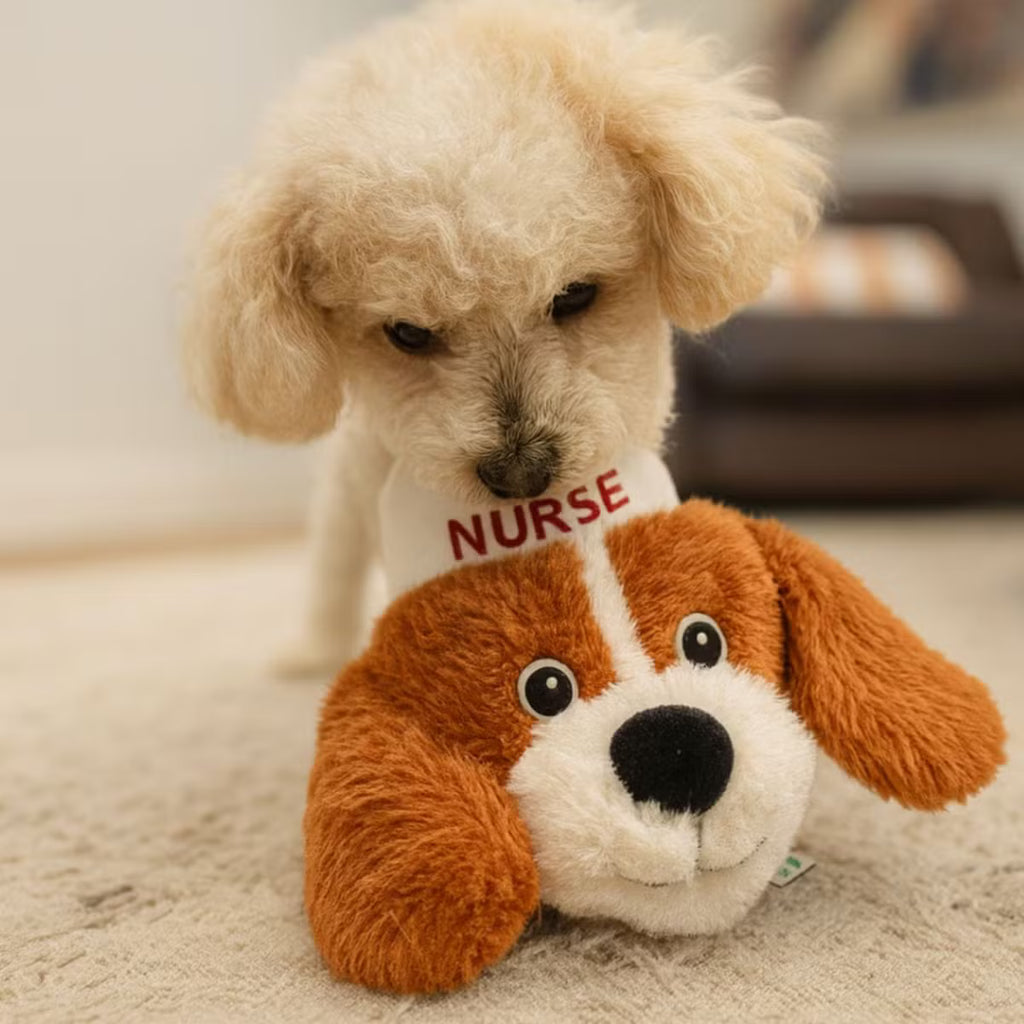 Hero Nurse Tough Squeaky Dog Plush Toy – 3-Layer Stitching & Crinkle Fun