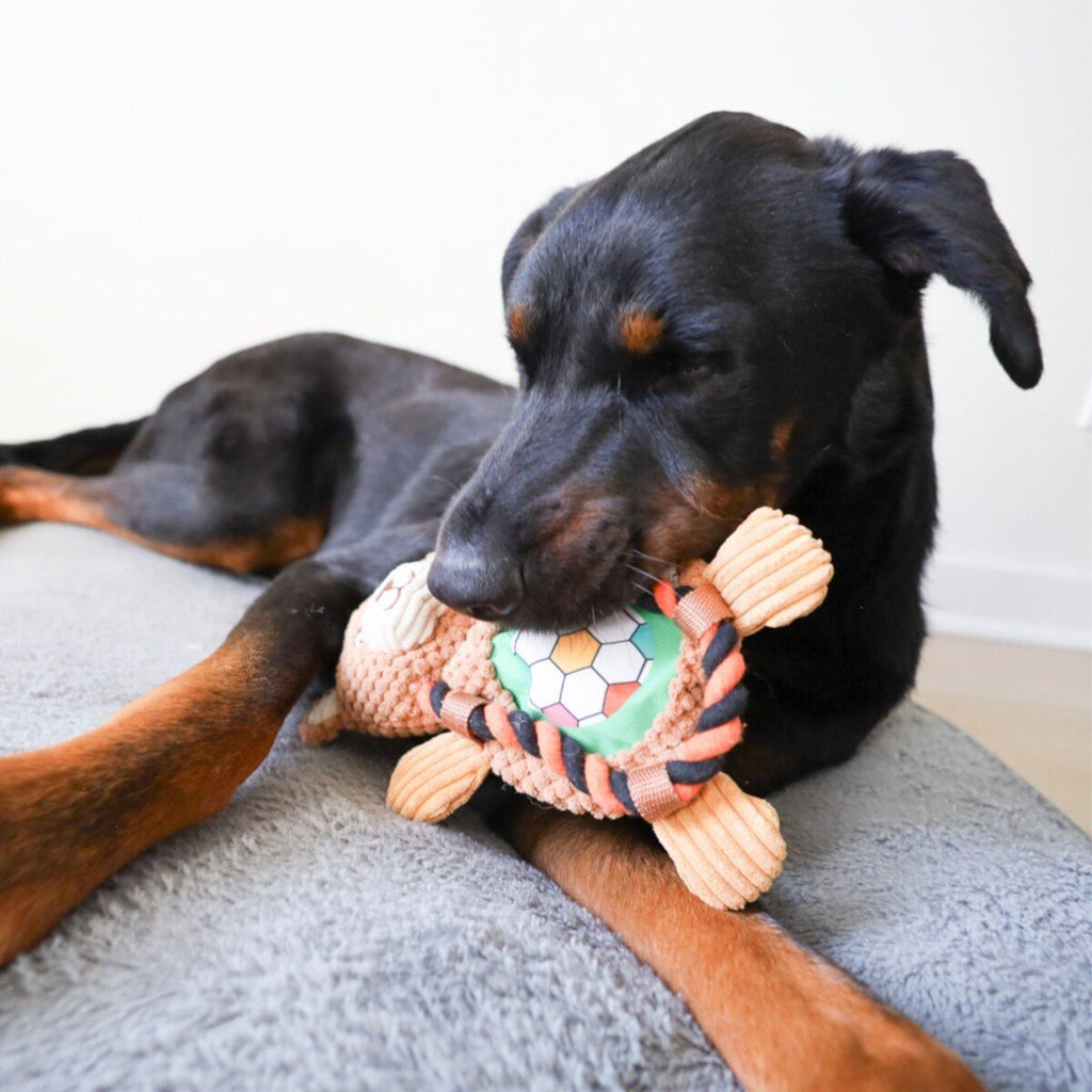 Roper Flat Sport Bear Dog Toy with Pull Rope, Crinkle, and Squeaker