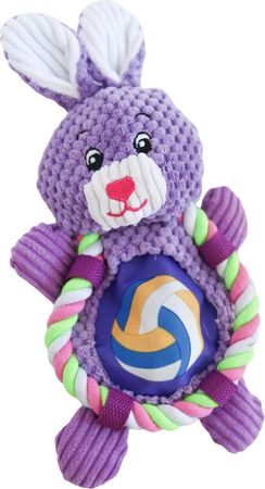 Flat Bunny Dog Toy With a Hidden Inner Toy