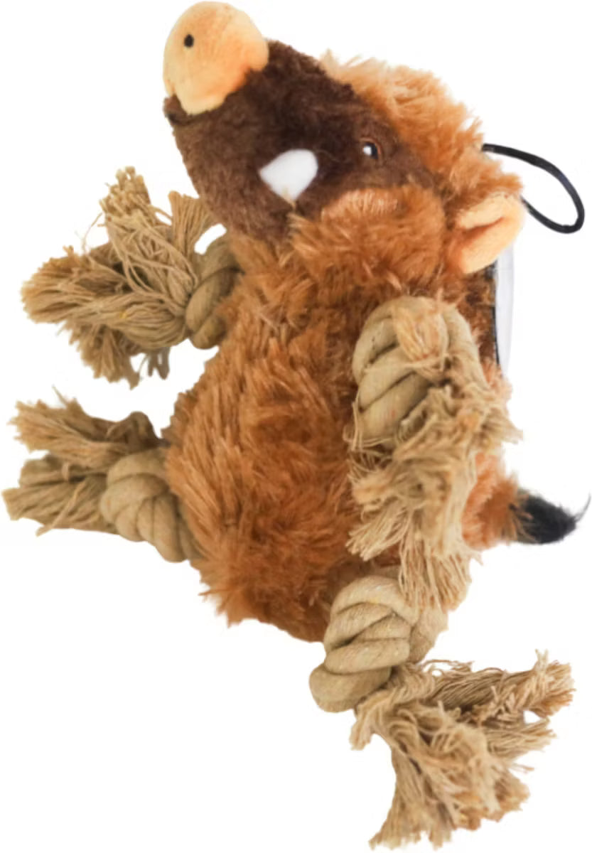 Dog Toy with a Hidden Inner Toy, Crinkle Feature, and Rope