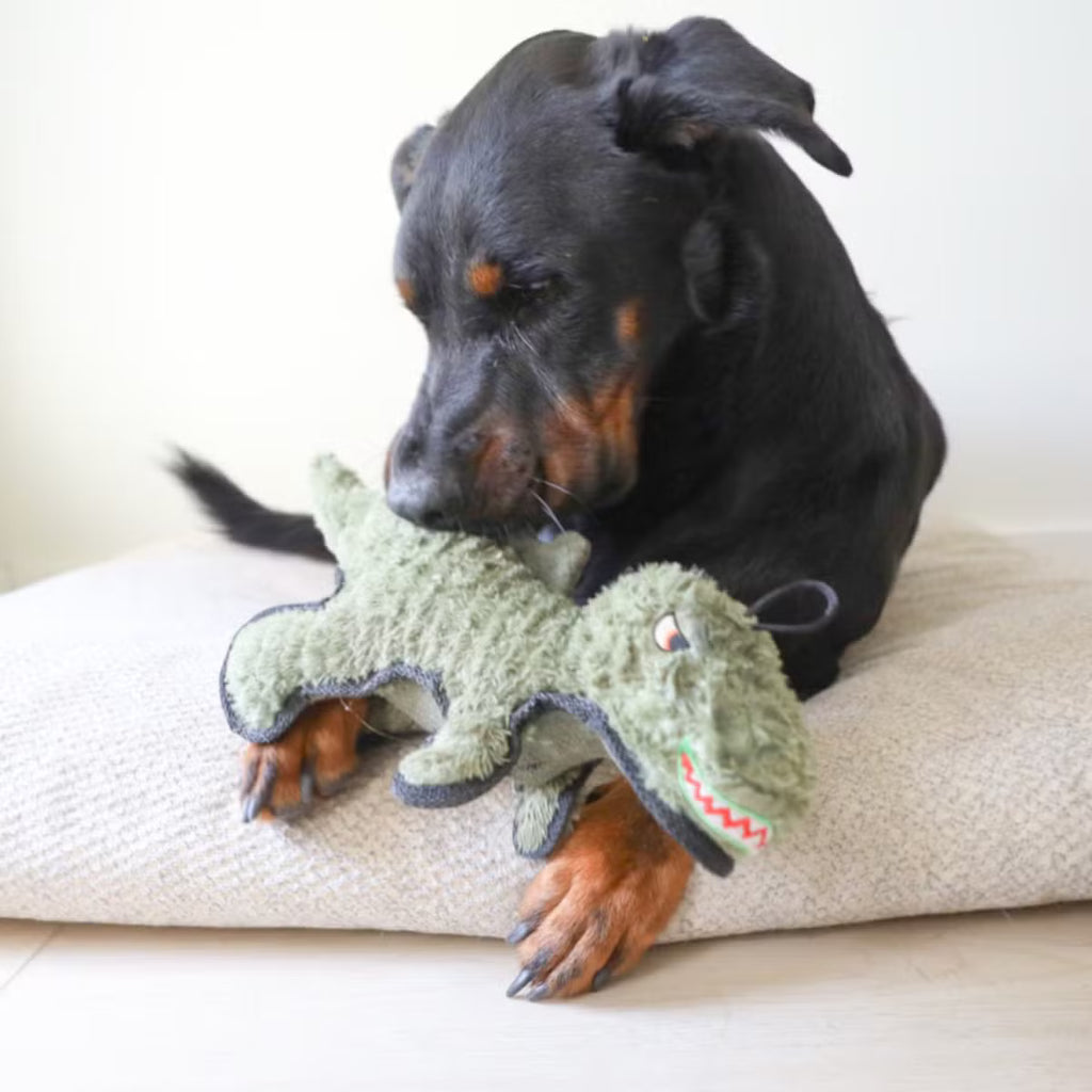 Ruffian Dino T-Rex Plush Dog Toy - everyday Fun with Surprise Tennis Ball