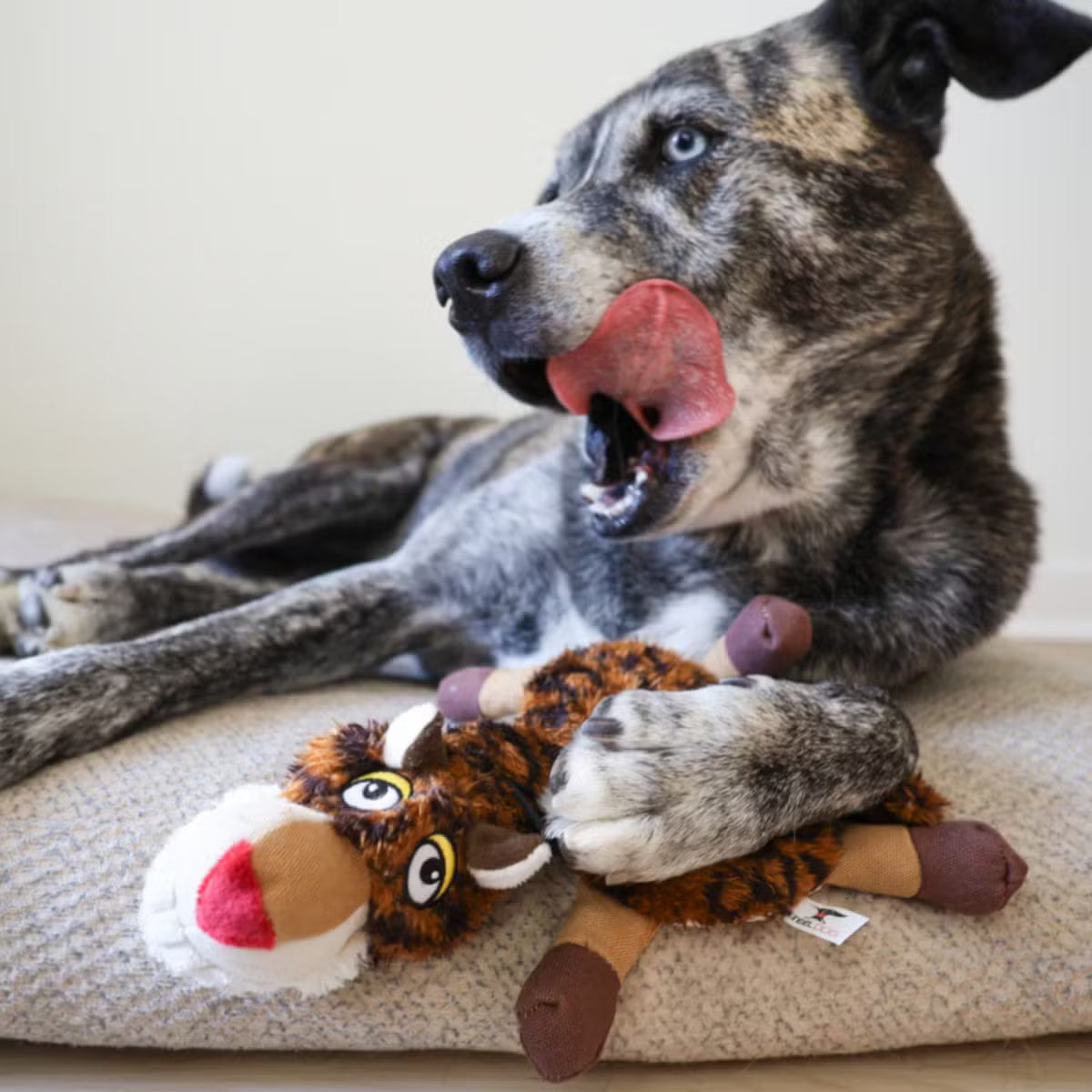 everyday Ruffian Flat Leopard Plush Toy for Tough Chewers