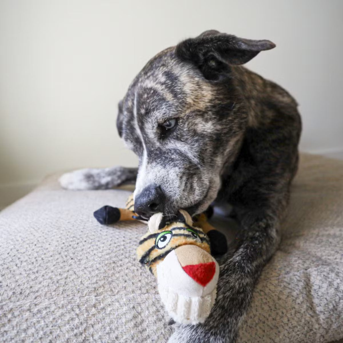 Ruffian Flat Tiger: everyday Stuffing-Free Plush Dog Toy