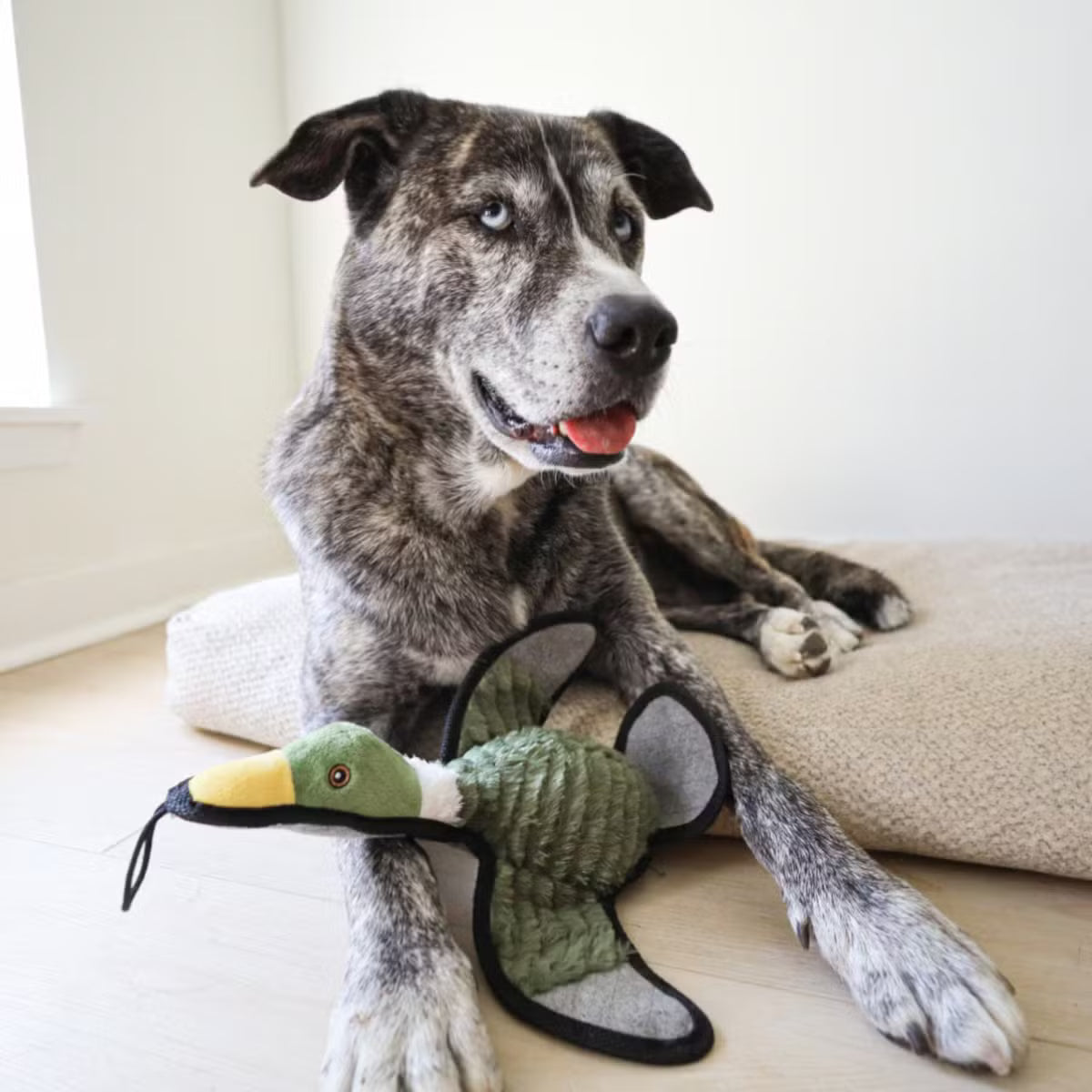 Duck-Shaped Dog Toy with Inner Toy, Crinkles, and Squeaks