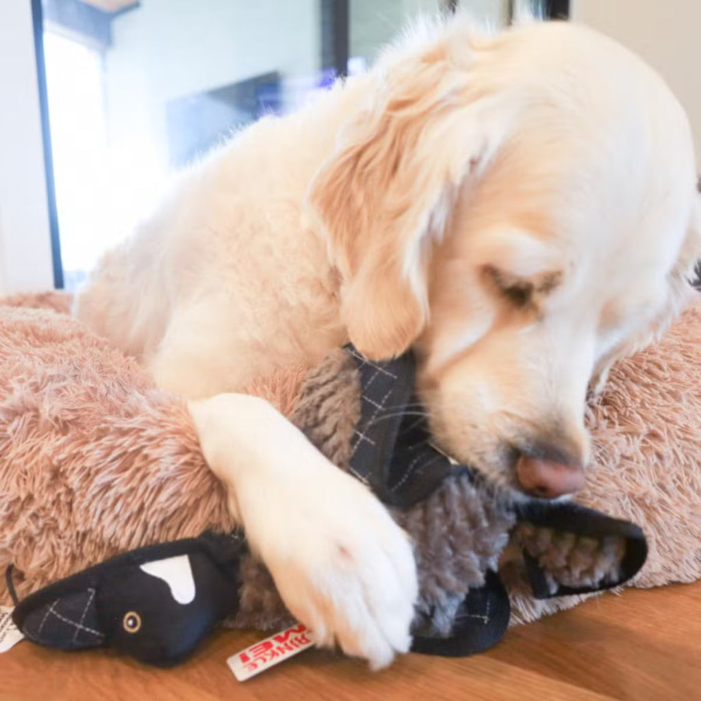 Ruffian Bird Goose: everyday Plush Toy with Crinkles, Squeaker & Surprise Tennis Ball
