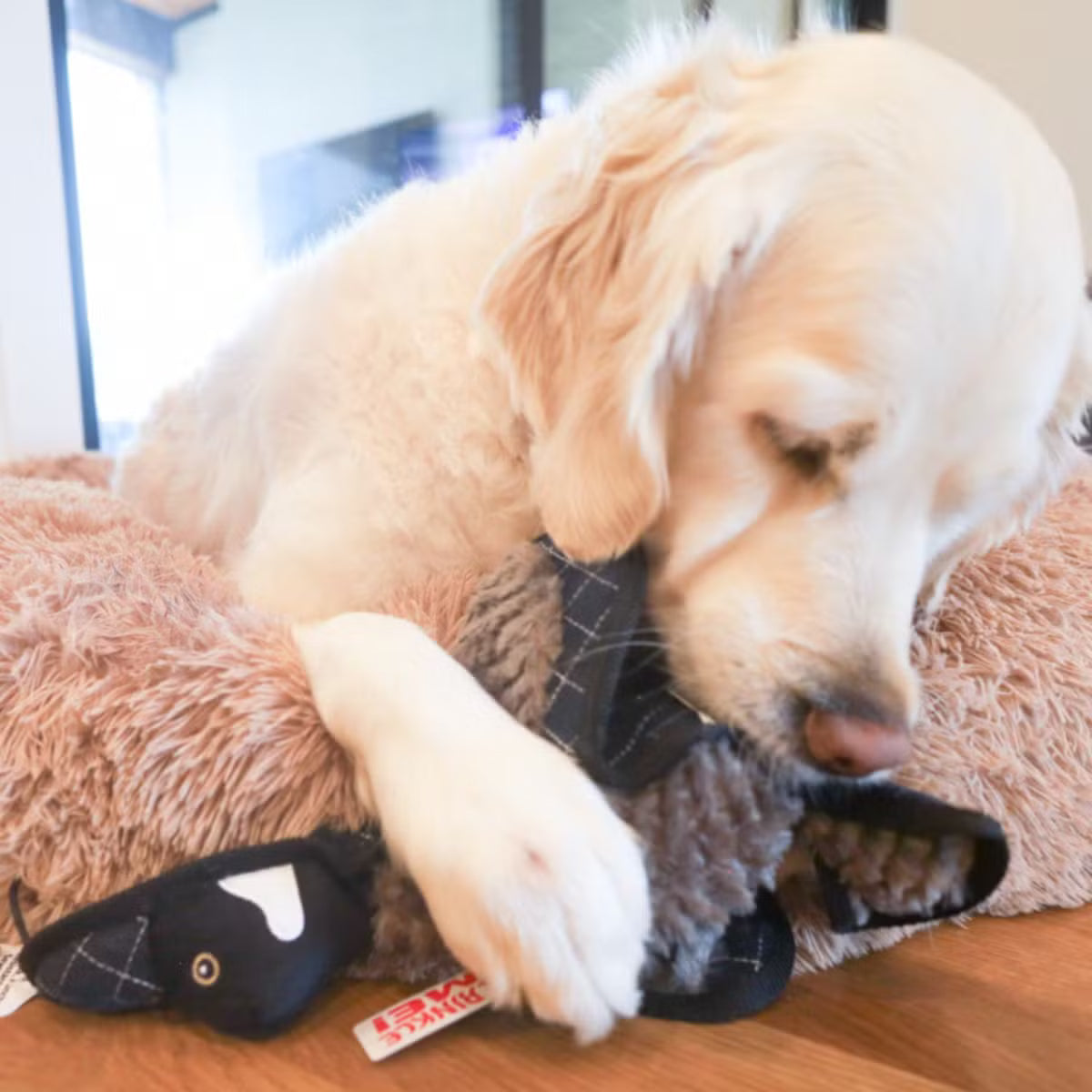 Ruffian Bird Goose: everyday Plush Toy with Crinkles, Squeaker & Surprise Tennis Ball