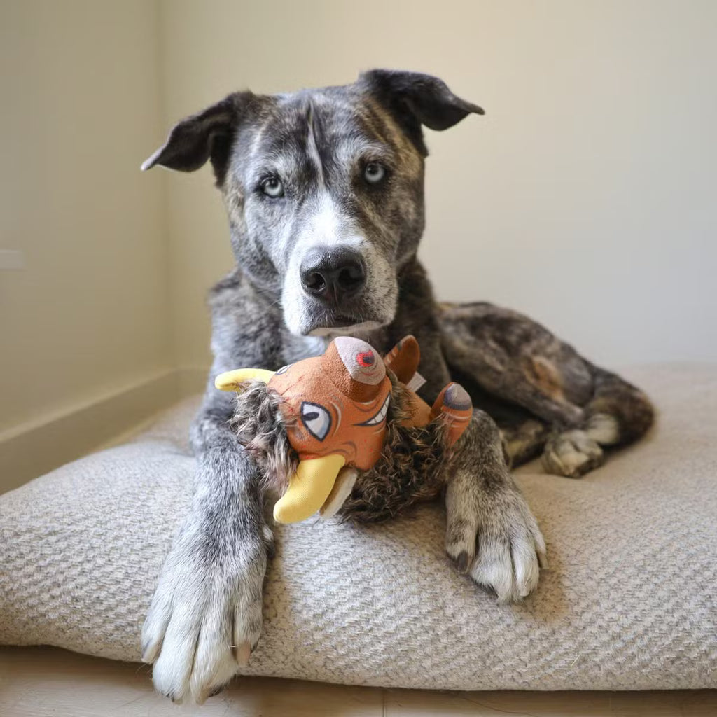 Ruffian Prairie Buffalo: everyday Squeaky Plush Toy with Hidden Tennis Ball