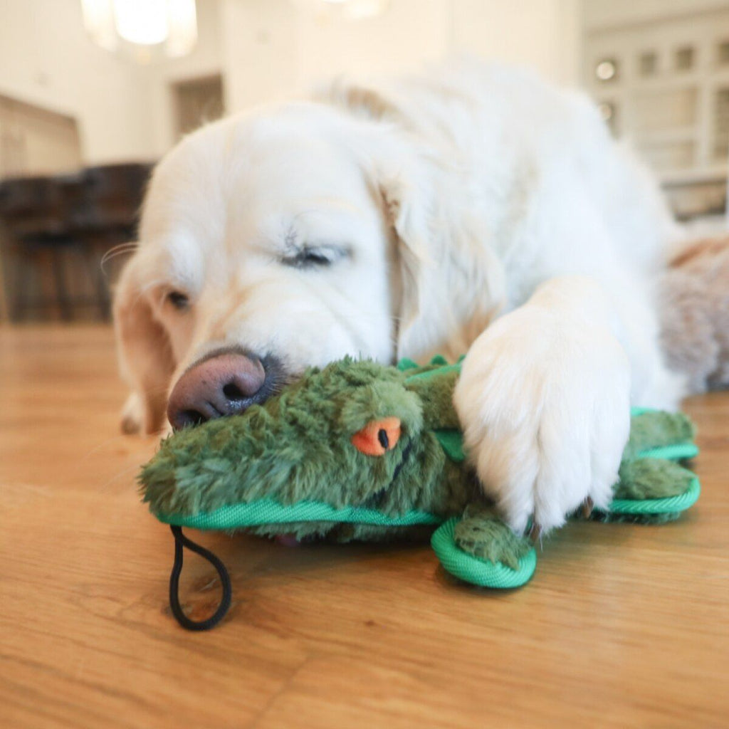 Ruffian Safari Gator everyday Plush Dog Toy with Surprise Tennis Ball