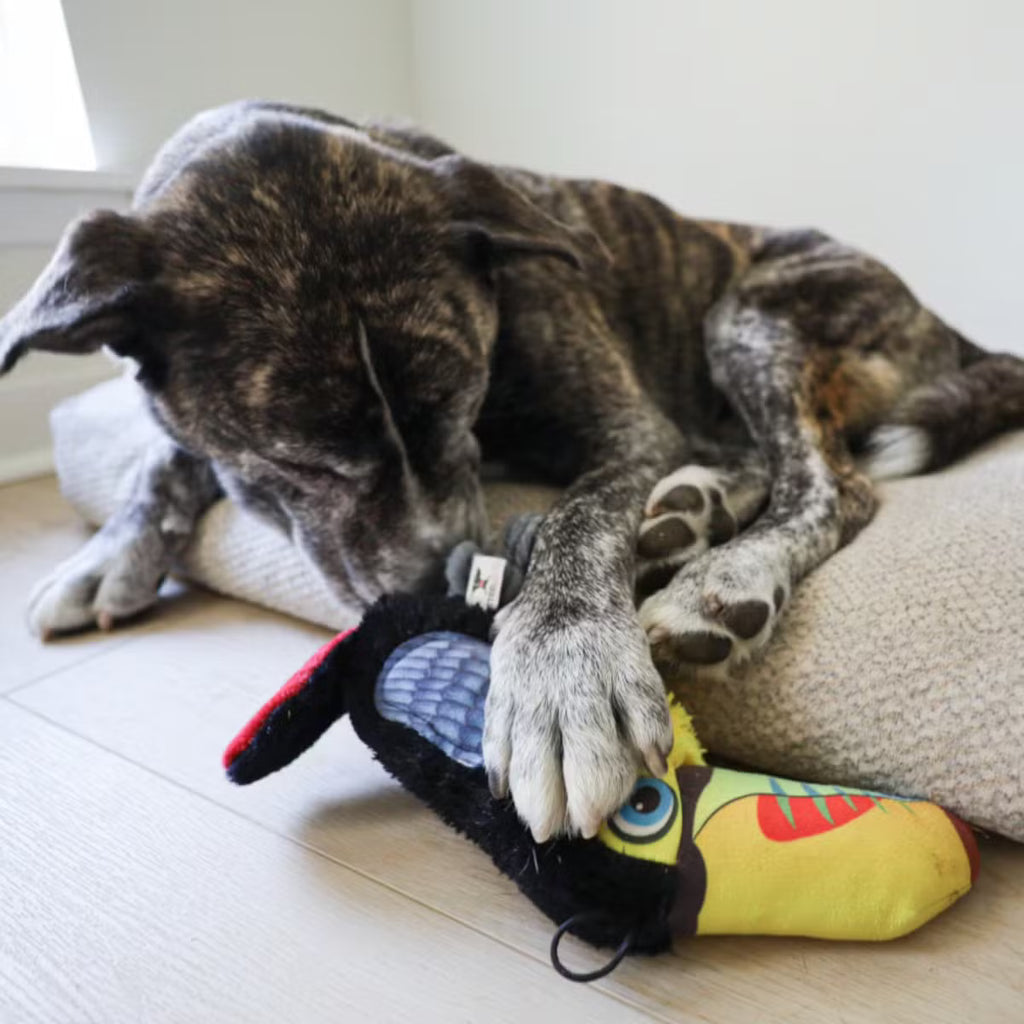 Ruffian Toucan: everyday Squeaky Plush Toy with Surprise Tennis Ball