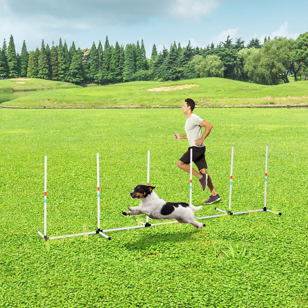 Encourage Outdoor Exercise and Agility with Adjustable Dog Weave Poles Set
