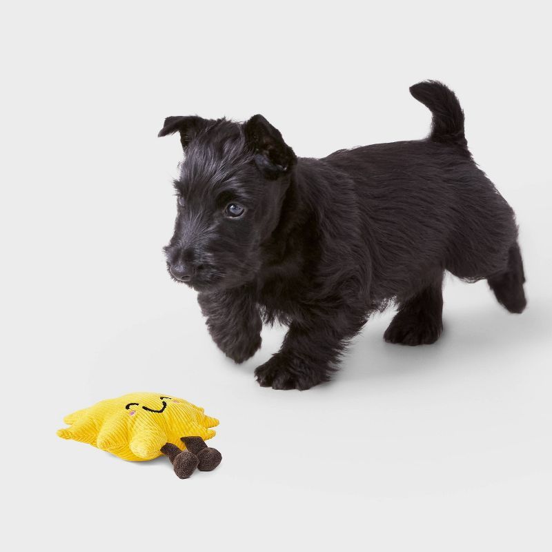 Sun Plush Dog Toy – Soft fabric Fun