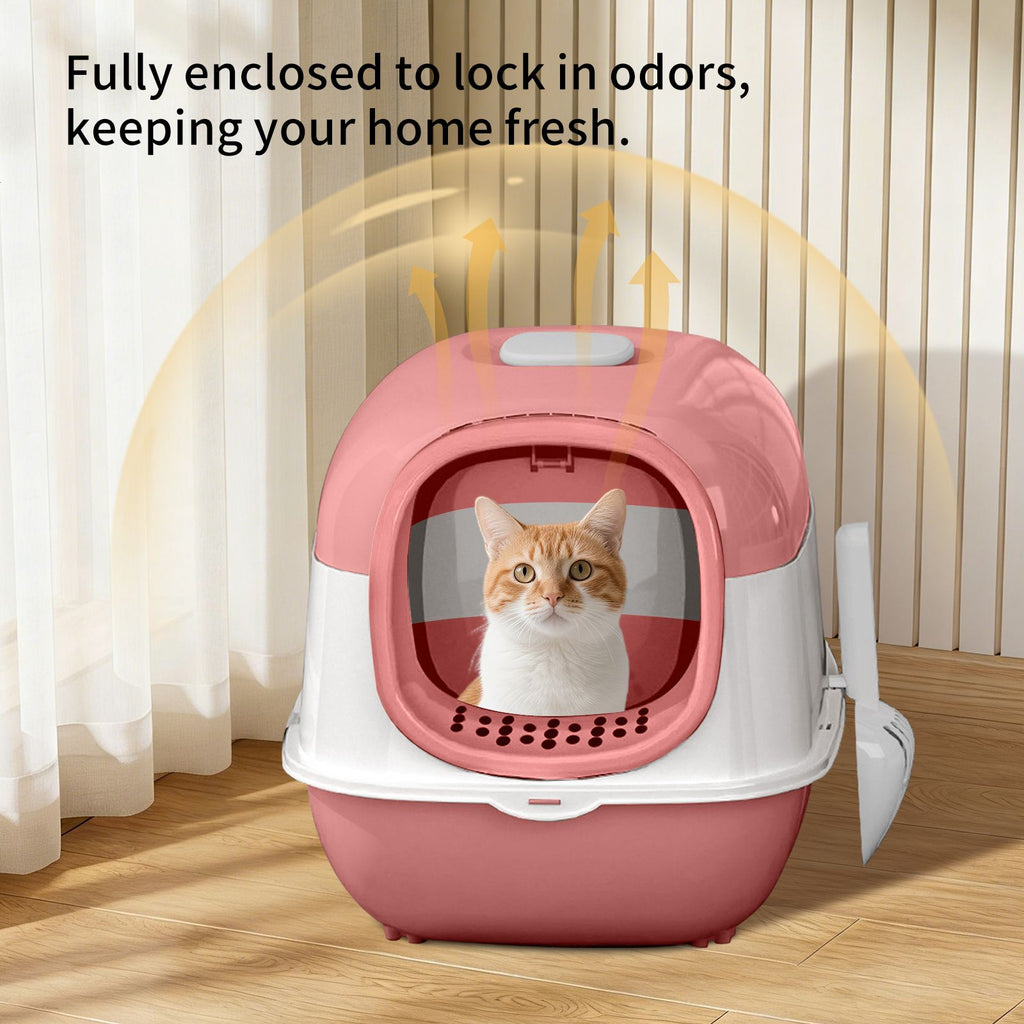 Pink Open Cat Litter Box: Spacious, Hygienic & Stylish