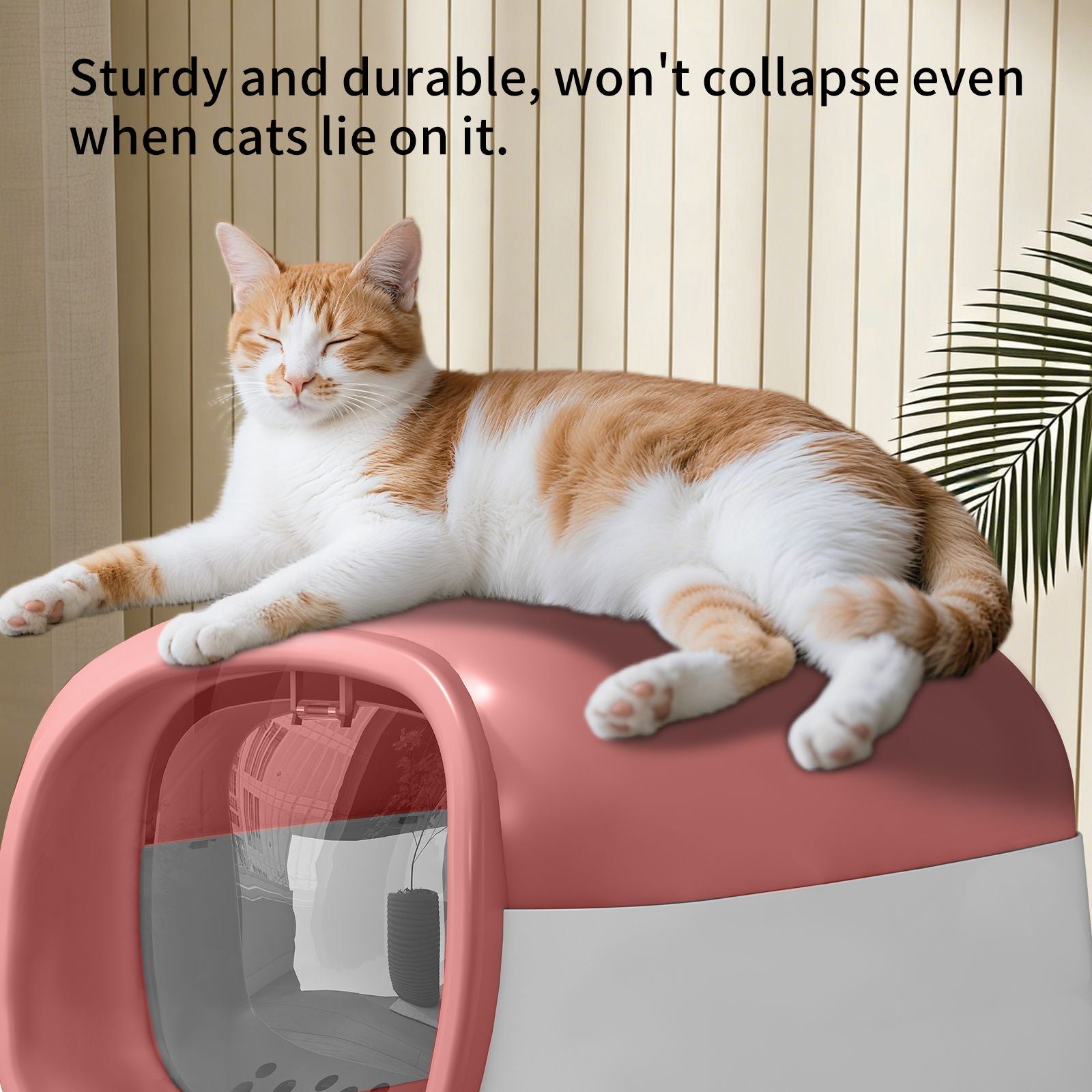 Pink Open Cat Litter Box: Spacious, Hygienic & Stylish