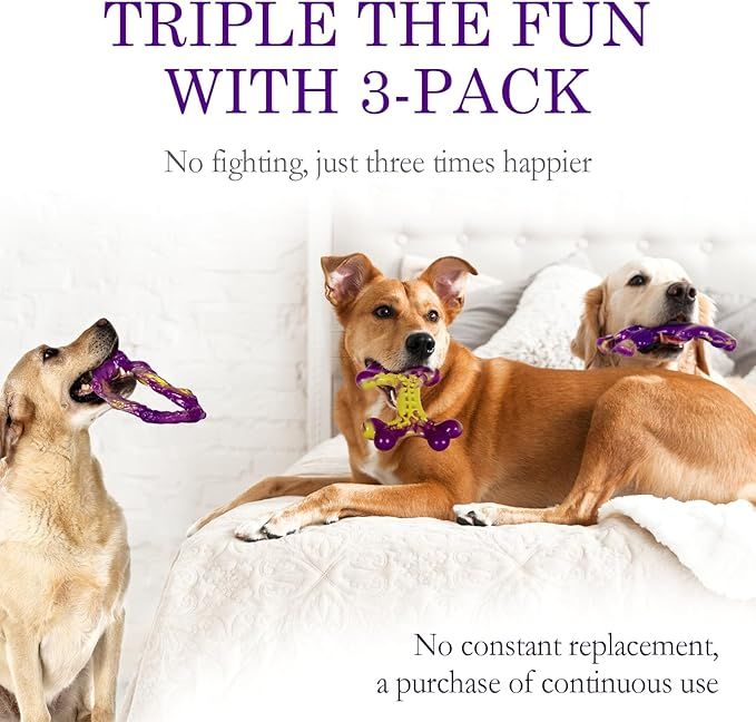 Three-Pack Dog Toys for Large Dogs and Regular Play