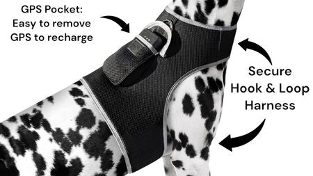 Track Your Pet w/ Rechargeable Realtime GSM GPS GPRS Pet Mini Tracker Size:XL