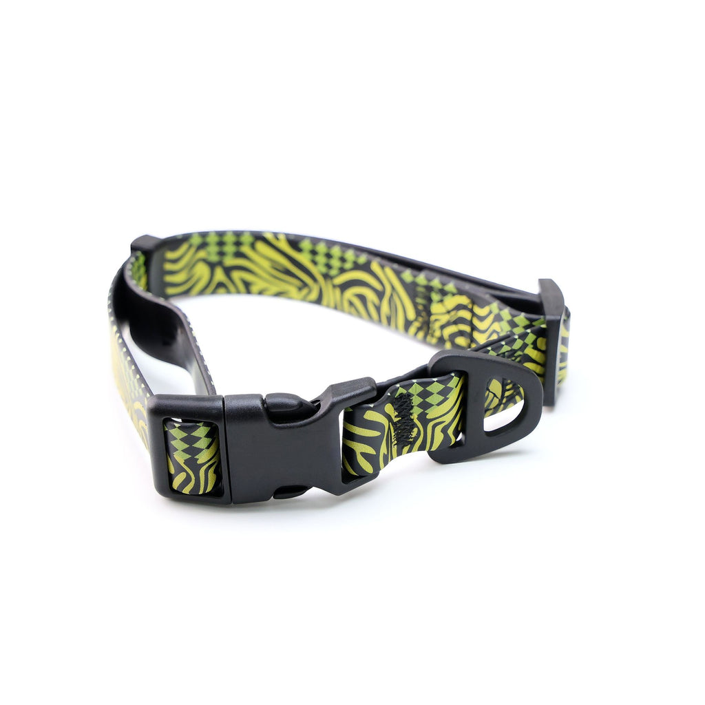 Printed Water-ready Dog Leash and Collar Set with Practical Hardware