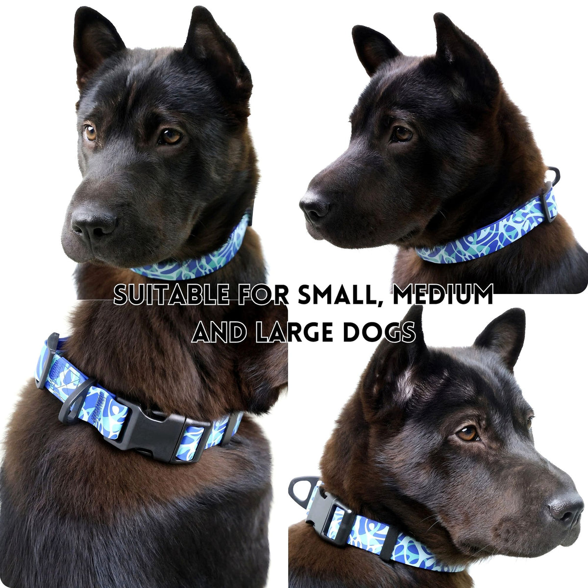 Printed Water-ready Dog Leash and Collar Set with Practical Hardware