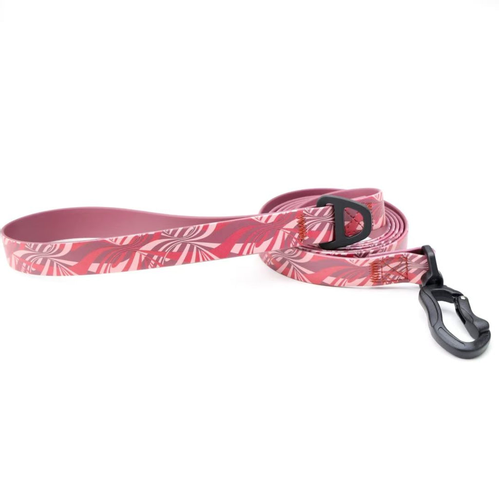 Printed Water-ready Dog Leash and Collar Set with Practical Hardware