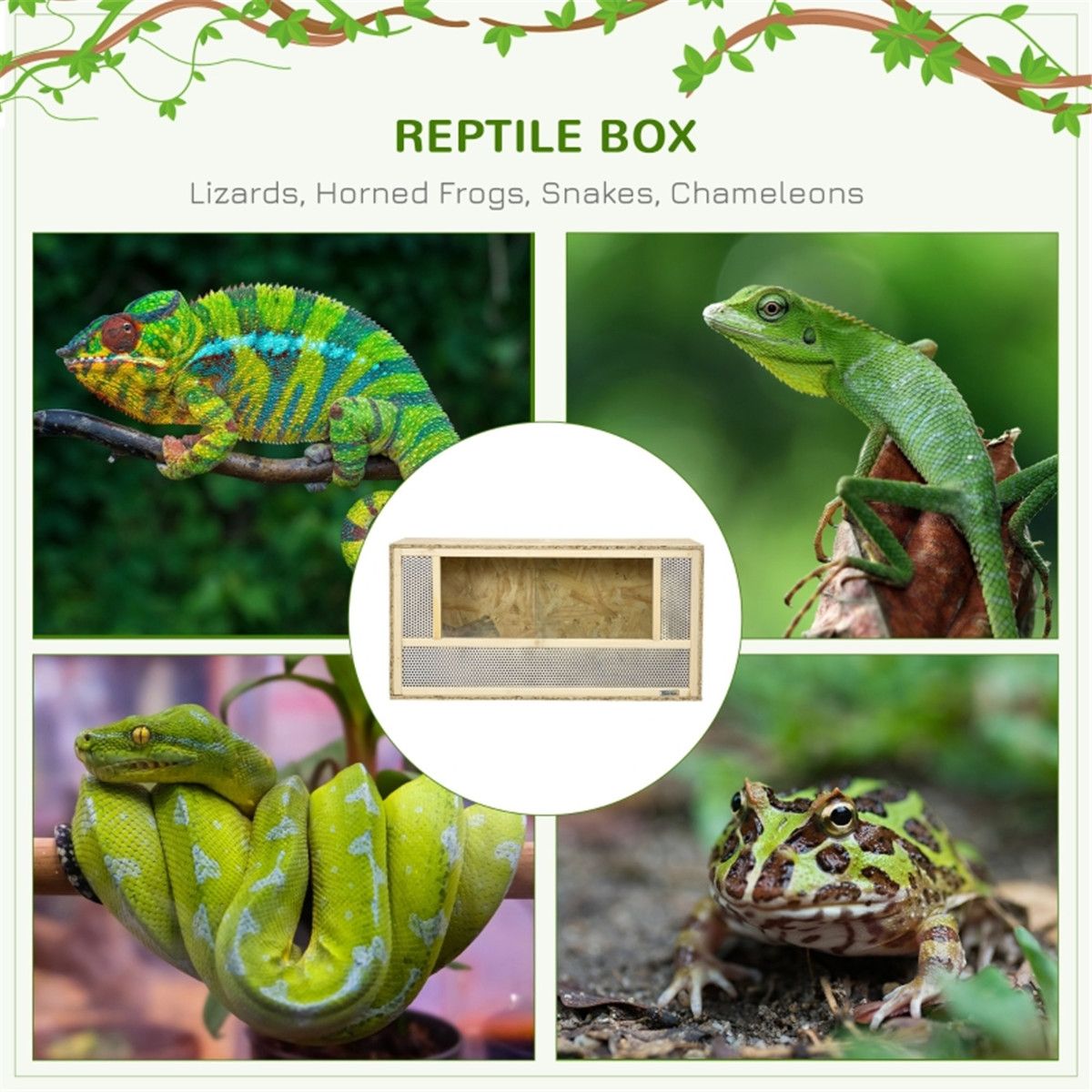Reptile Terrarium with Breathable Mesh and Glass Sliding Doors