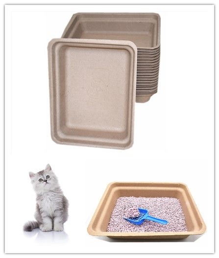everyday Disposable Cat Litter Boxes (20-Pack)